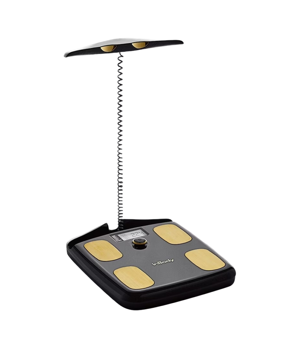 Dial H20 Smart Body Composition Scale | InBody USA Dial H20 Smart Body Composition Scale | InBody USA